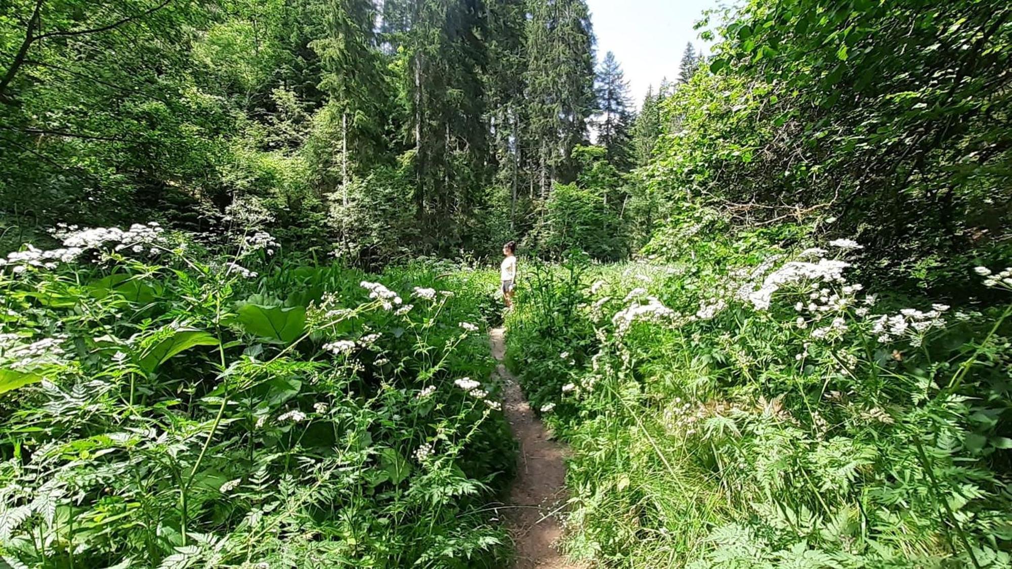 Landhaus Alpenpanorama Löffingen Exteriör bild
