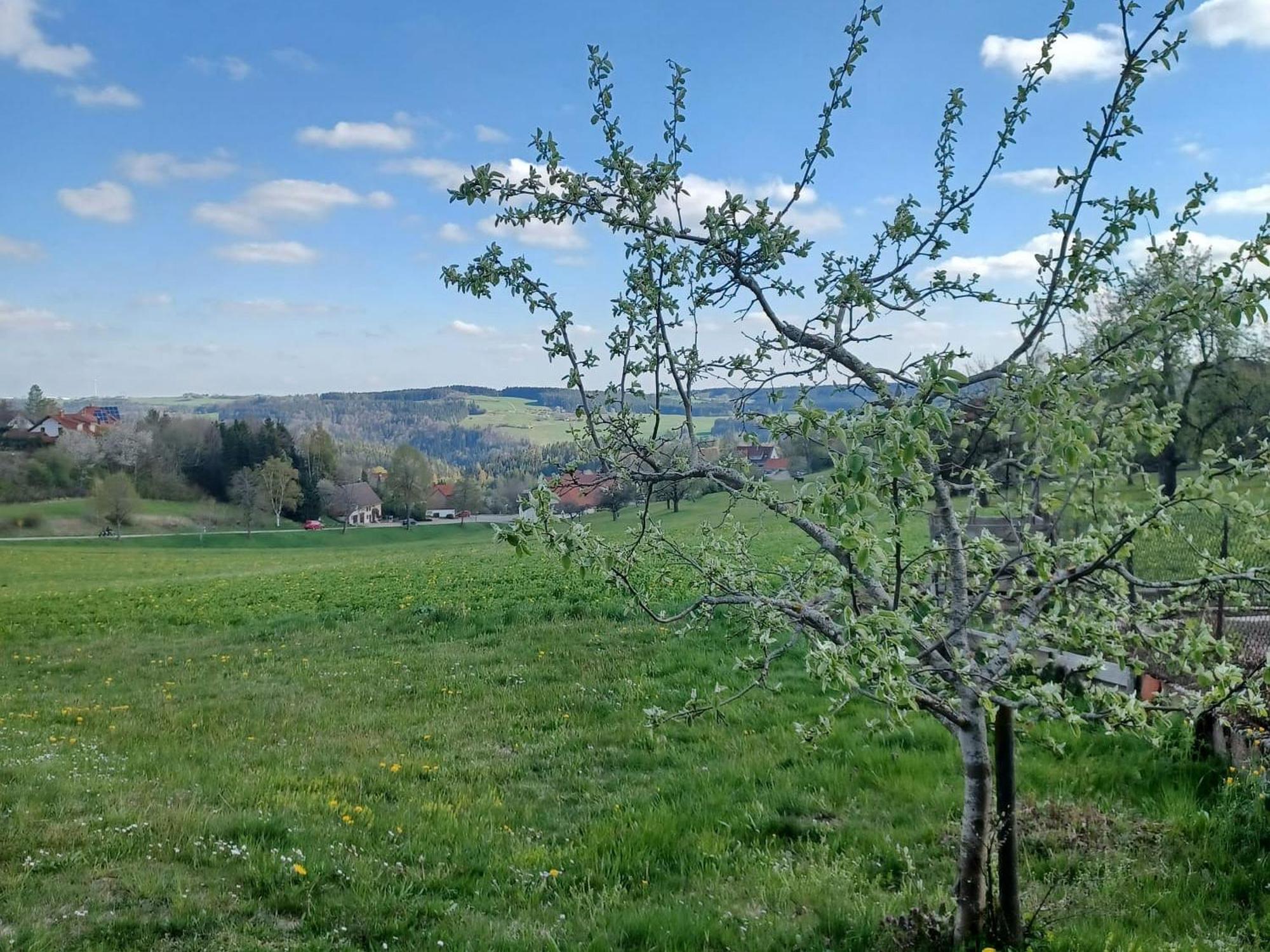 Landhaus Alpenpanorama Löffingen Exteriör bild